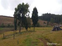 rea De Terra